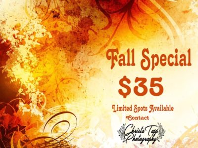 2017 Fall Special